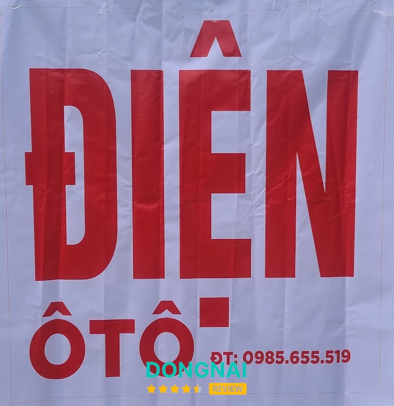 Điện ô tô ắc quy Hoàng Đào – hình ảnh 3