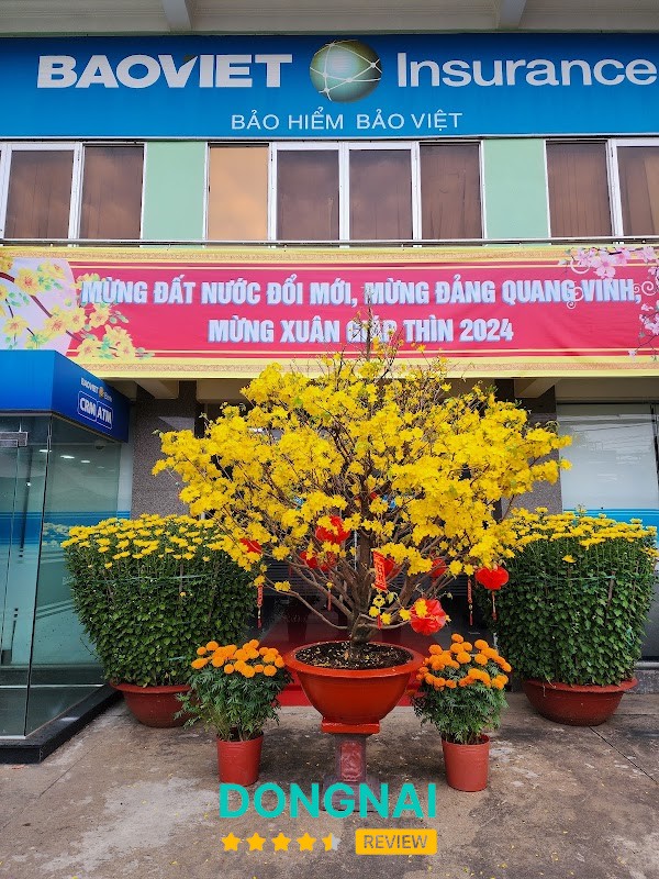 Bảo hiểm Bảo Việt Đồng Nai – hình ảnh 2