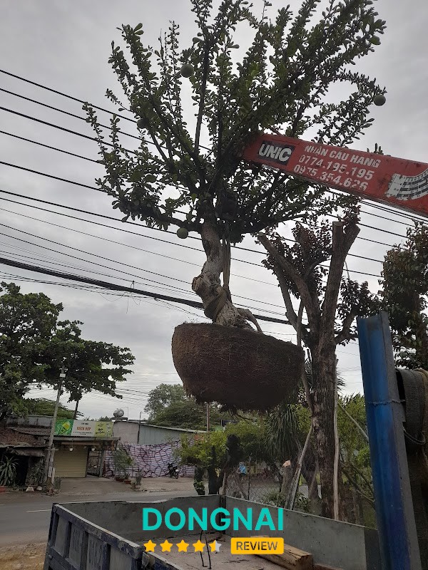 Không gian Vườn Xanh Biên Hòa