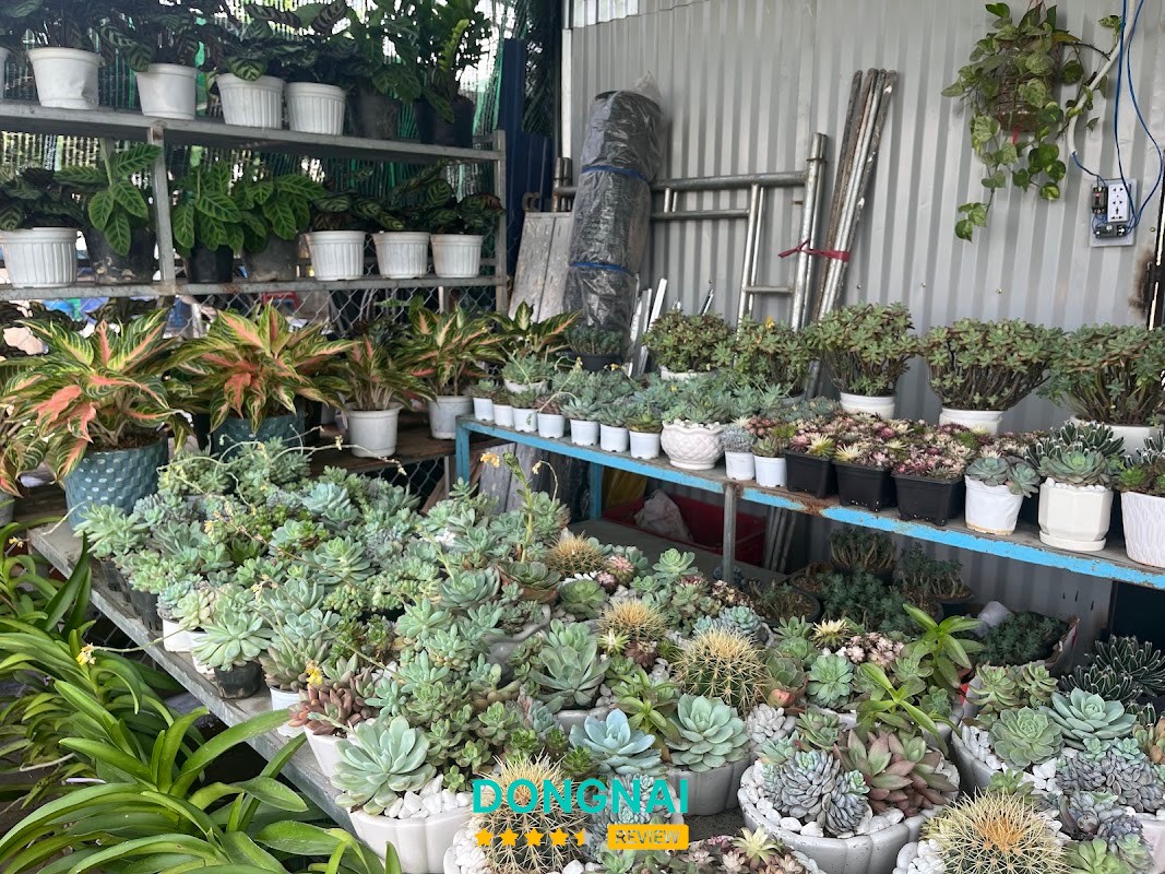 Vườn cây xanh Minh Thuỳ
