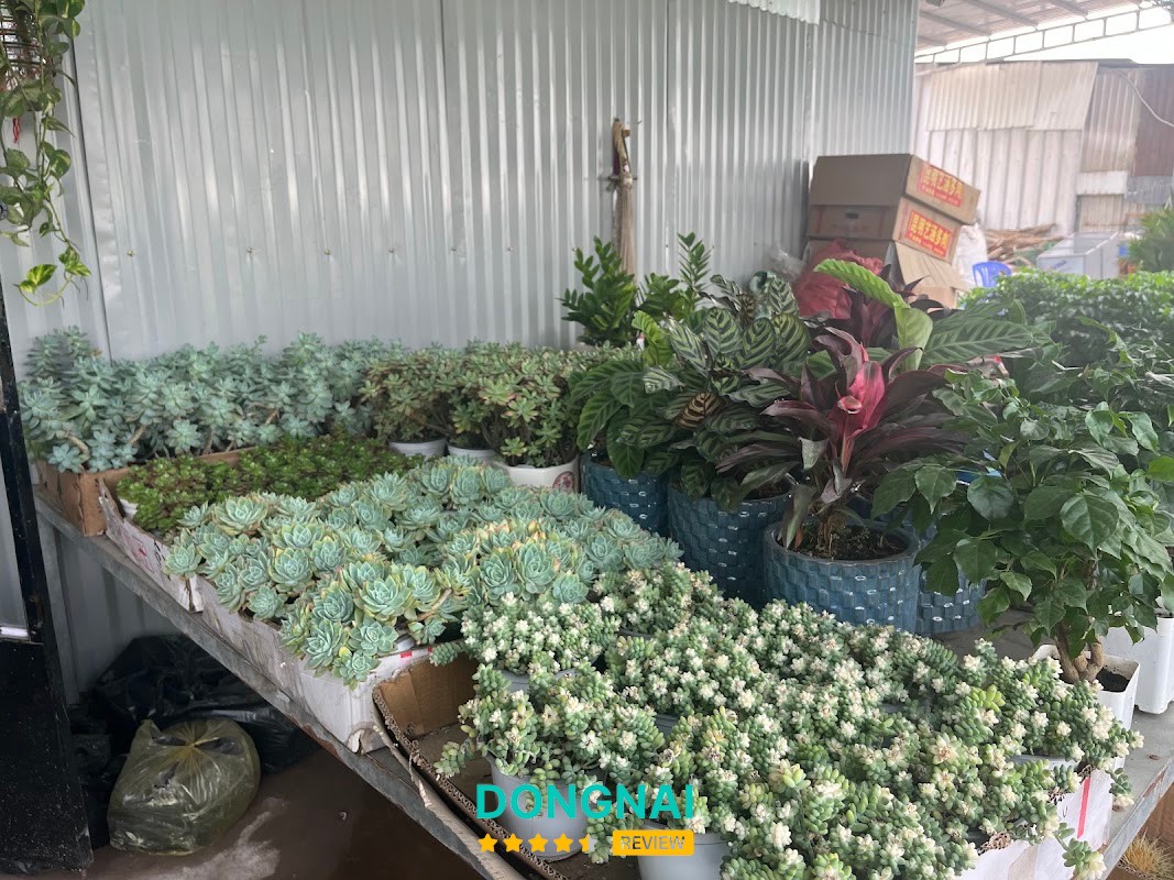 Cây xanh tại vườn Minh Thuỳ