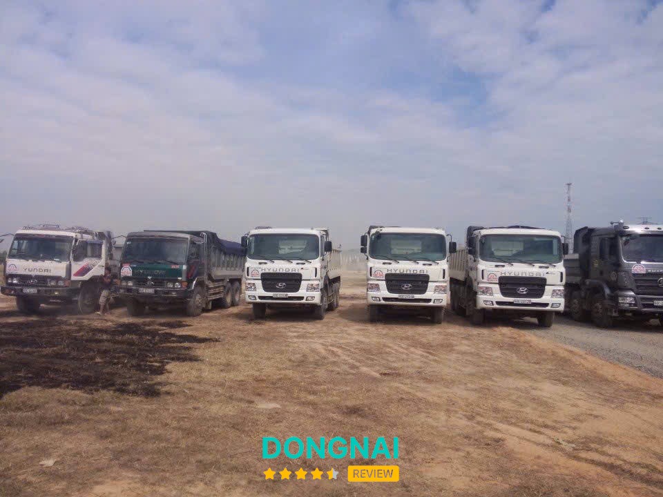 Công Ty TNHH Thương Mại Dịch Vụ Vận Tải Thảo Trang