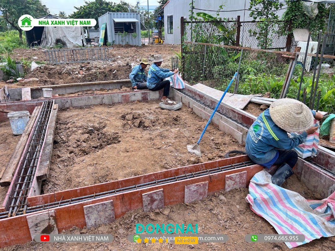 Nhà Xanh Việt Nam – hình ảnh 3