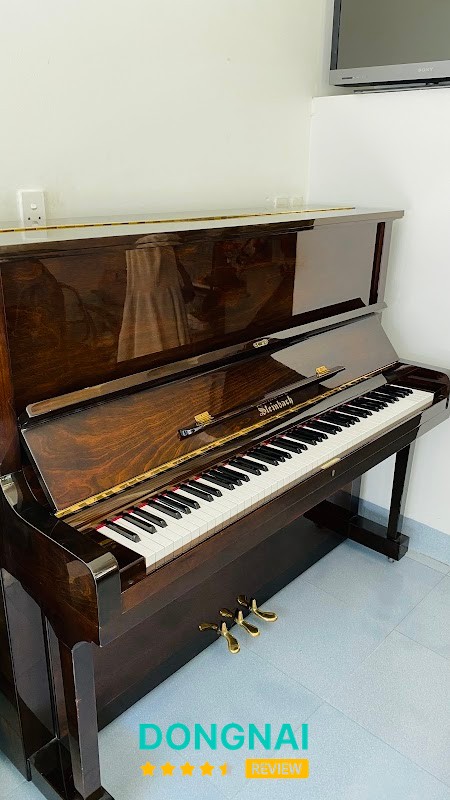 PHONG THY MUSIC – không gian tư vấn nhạc cụ