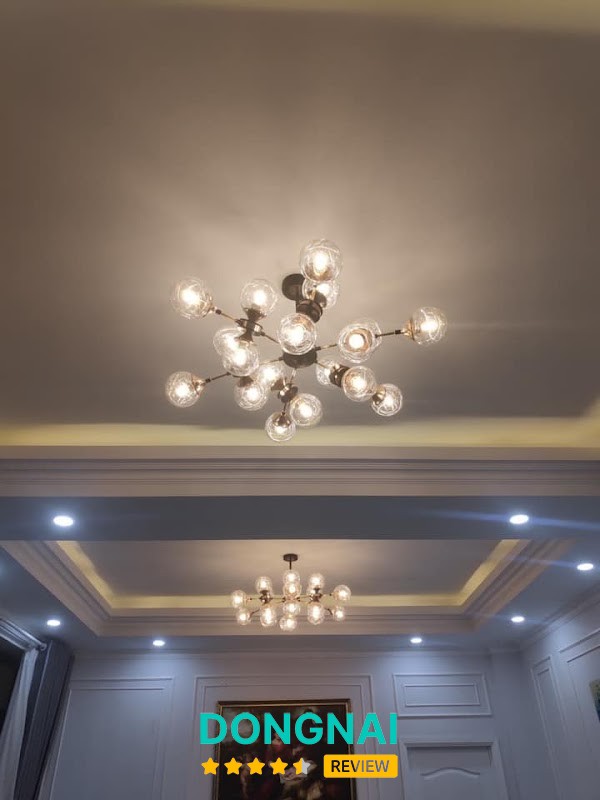 THLED đèn trang trí tại Đồng Nai