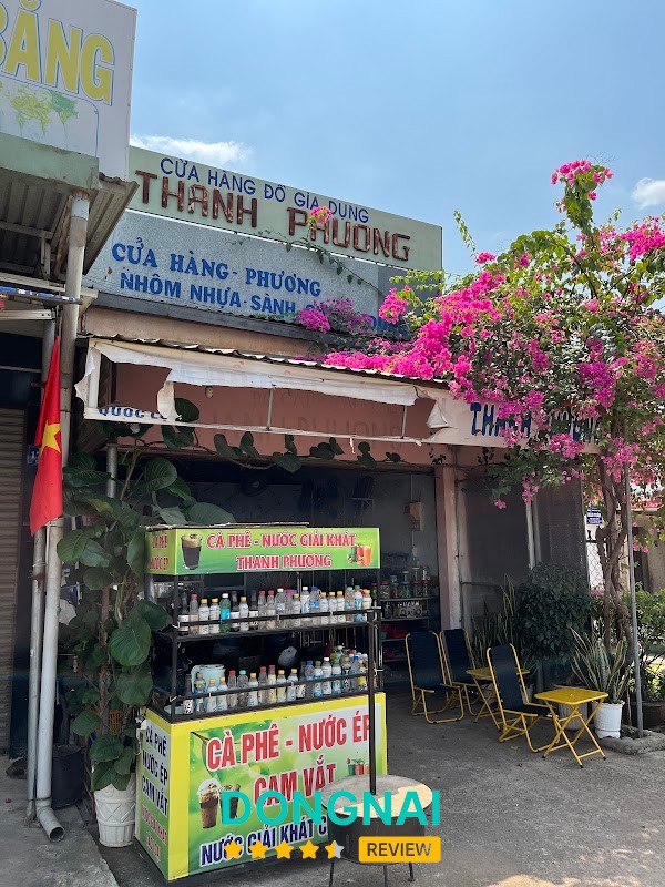 Đồ câu cá Thanh Phương Bình Phước
