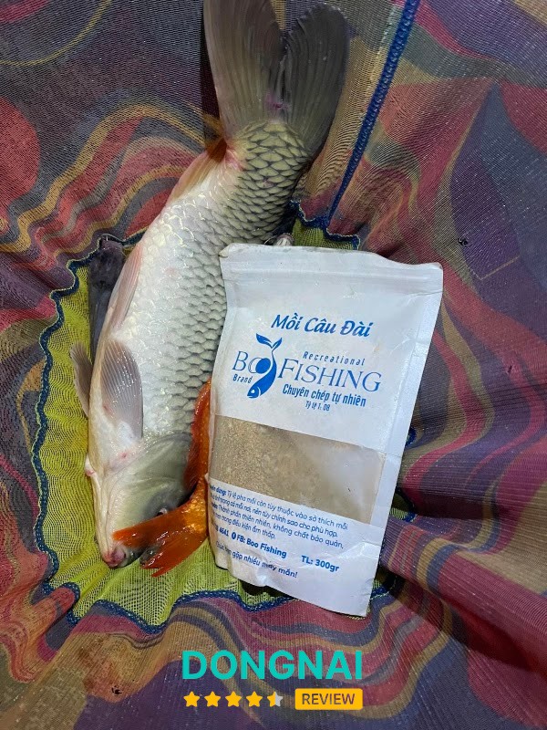 Boo Fishing – hình ảnh 3