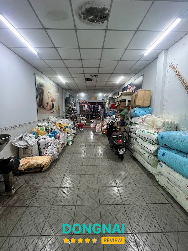 Đồ Câu Tú Caro – hình ảnh 3