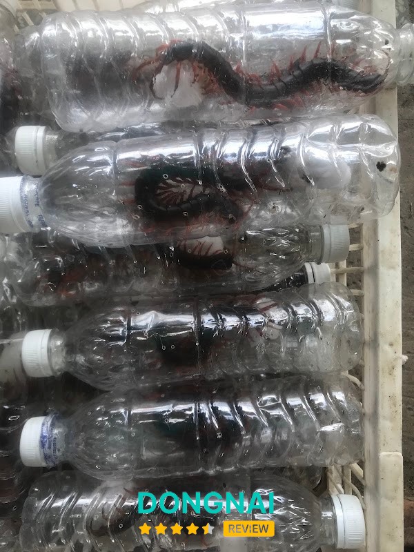 Mồi Câu Quách Tỉnh Biên Hòa