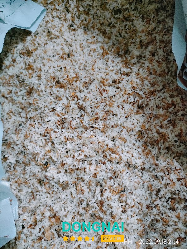 Trứng kiến vàng Hoàng Huy Trấn Biên