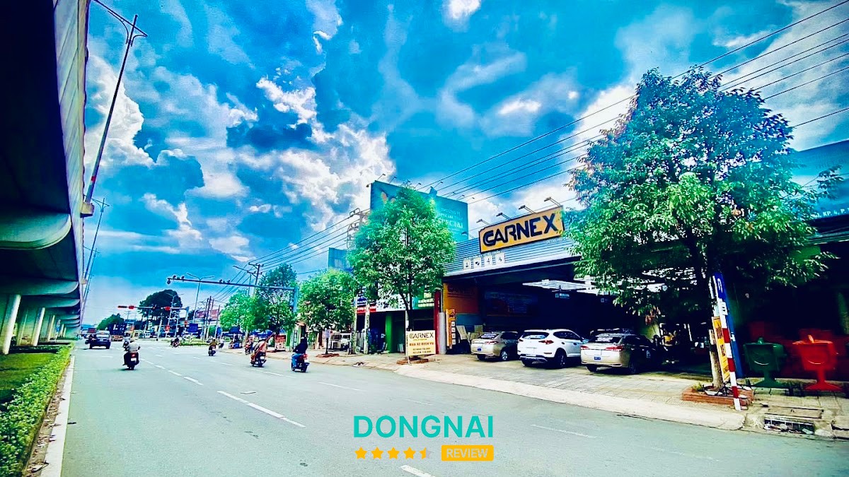 CARNEX Đồng Nai