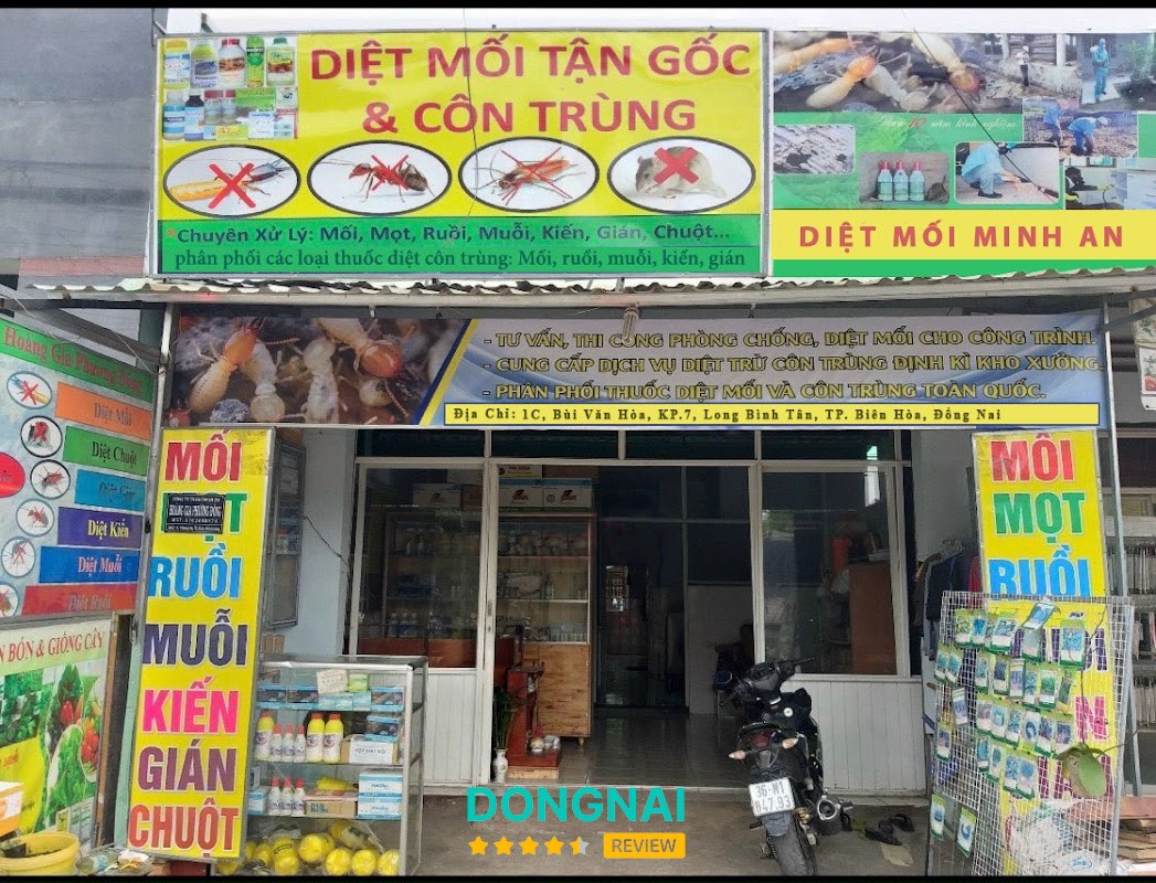 Công Ty TNHH Diệt Mối Và Côn Trùng Minh An Biên Hòa