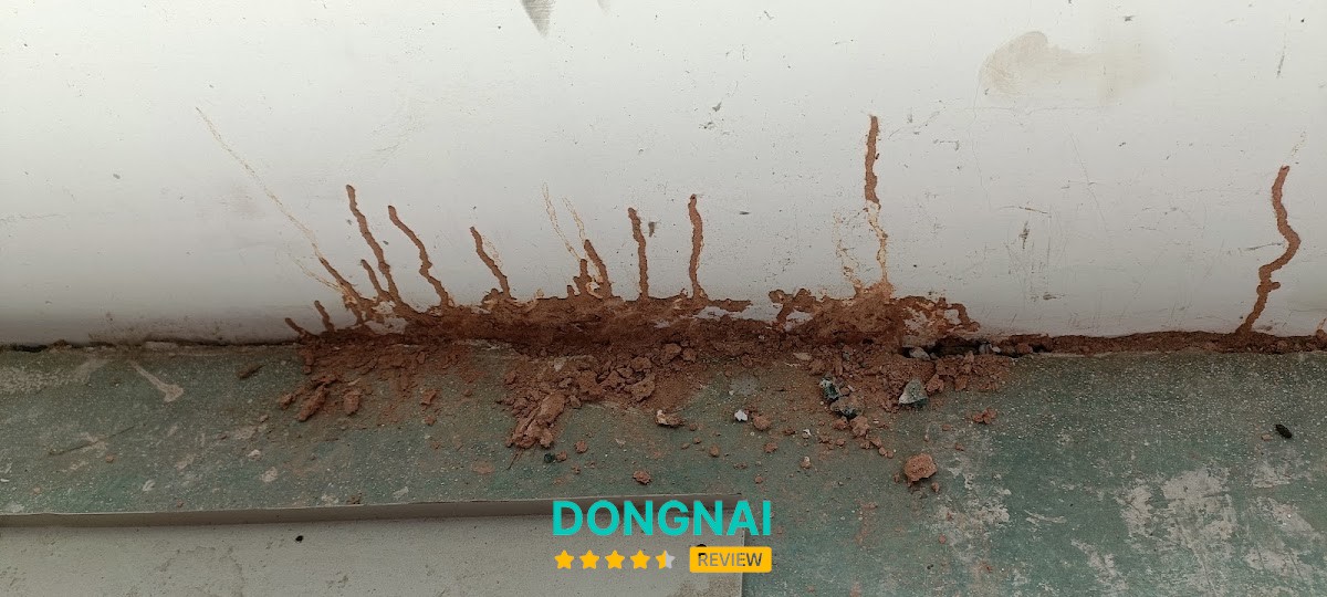 Diệt Côn Trùng Siêu Tốc – hình ảnh 3