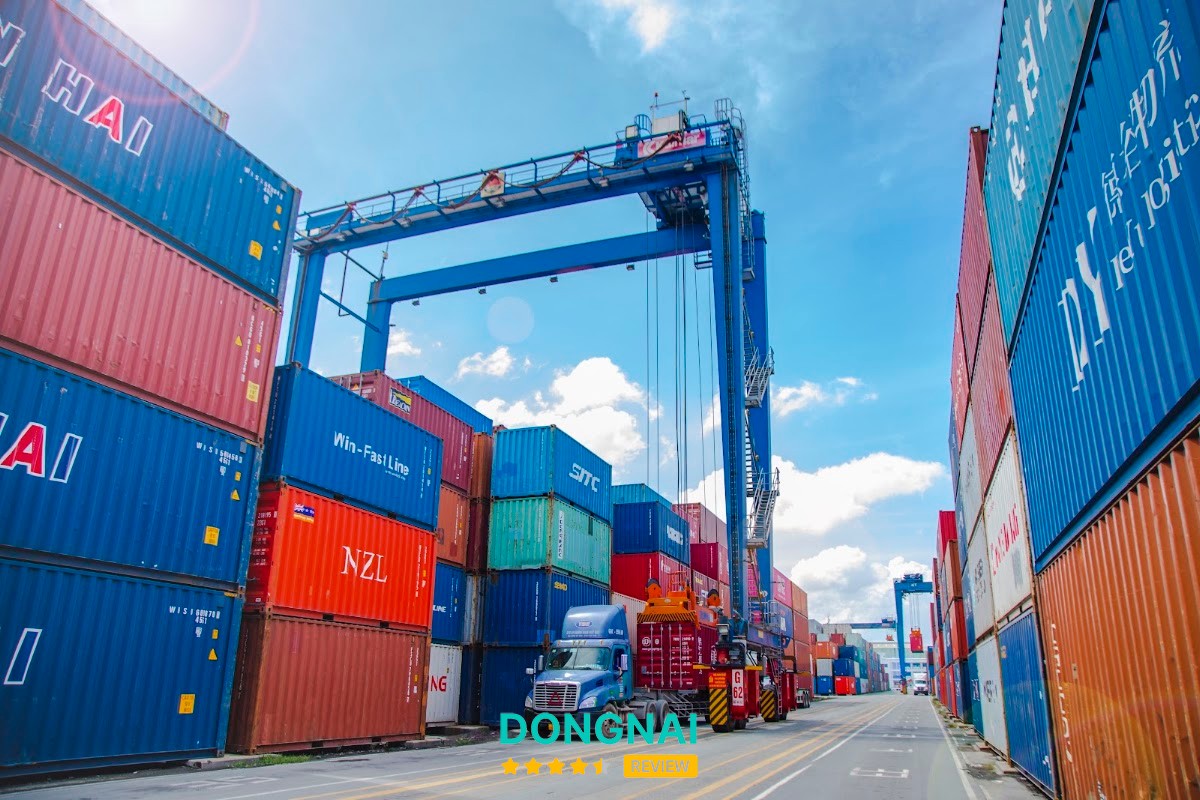 THÔNG QUAN LOGISTICS – hình ảnh 3