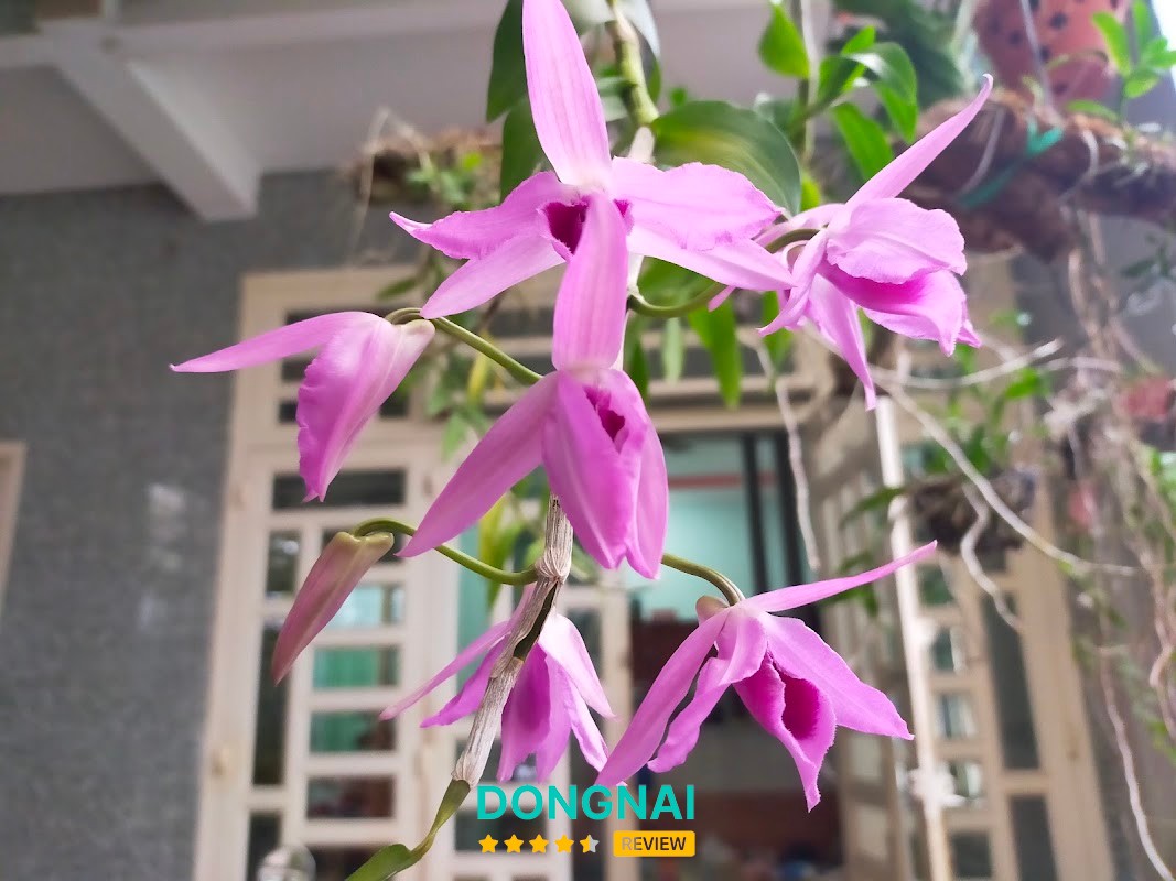Điện công nghiệp Trần Trần Đoàn – hình ảnh 3