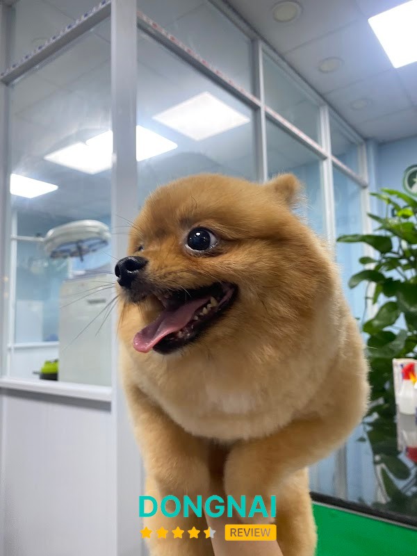 Phòng khám thú y - Delta Pet Clinic Biên Hoà Cấp Cứu 24/7 - hình ảnh 3