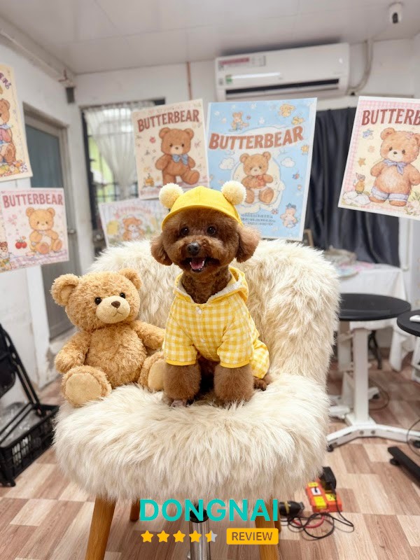 Kim Pet - Spa & Pet Shop – hình ảnh 3