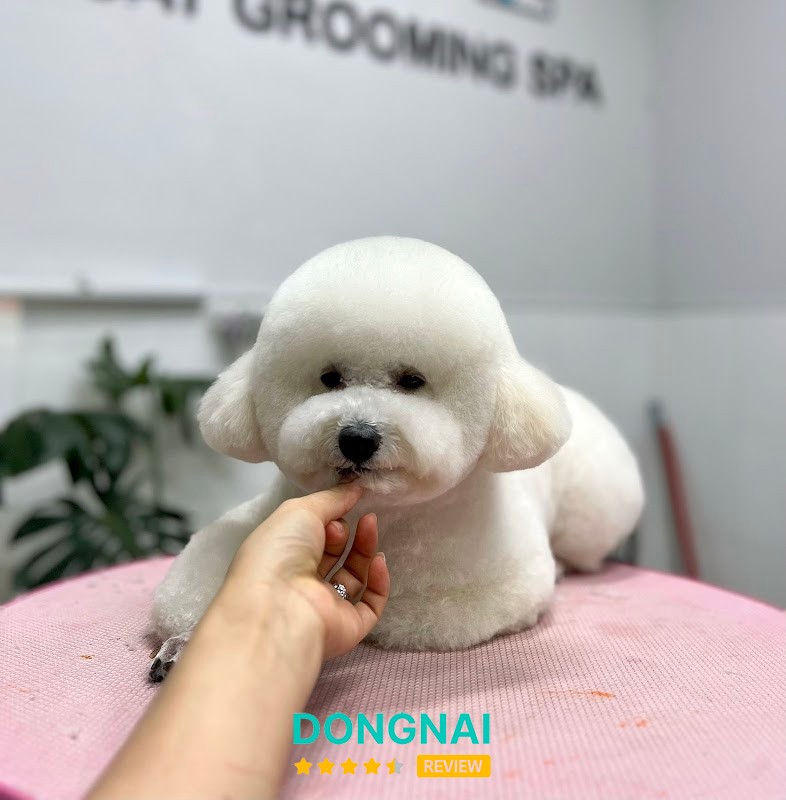 YUUMI PET - SPA & HOTEL THÚ CƯNG – hình ảnh 2