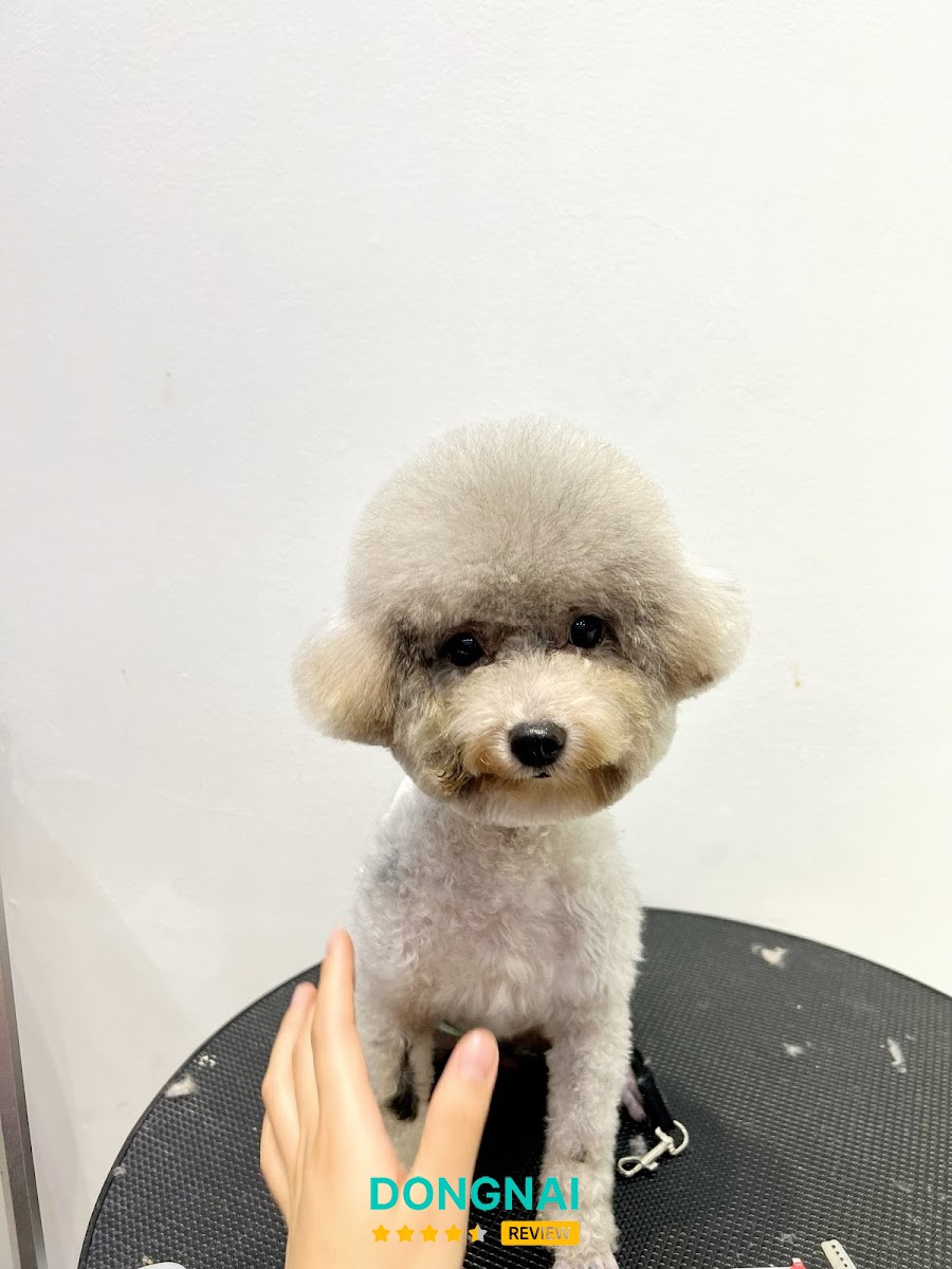 LANNA'S Pet Shop – hình ảnh 2