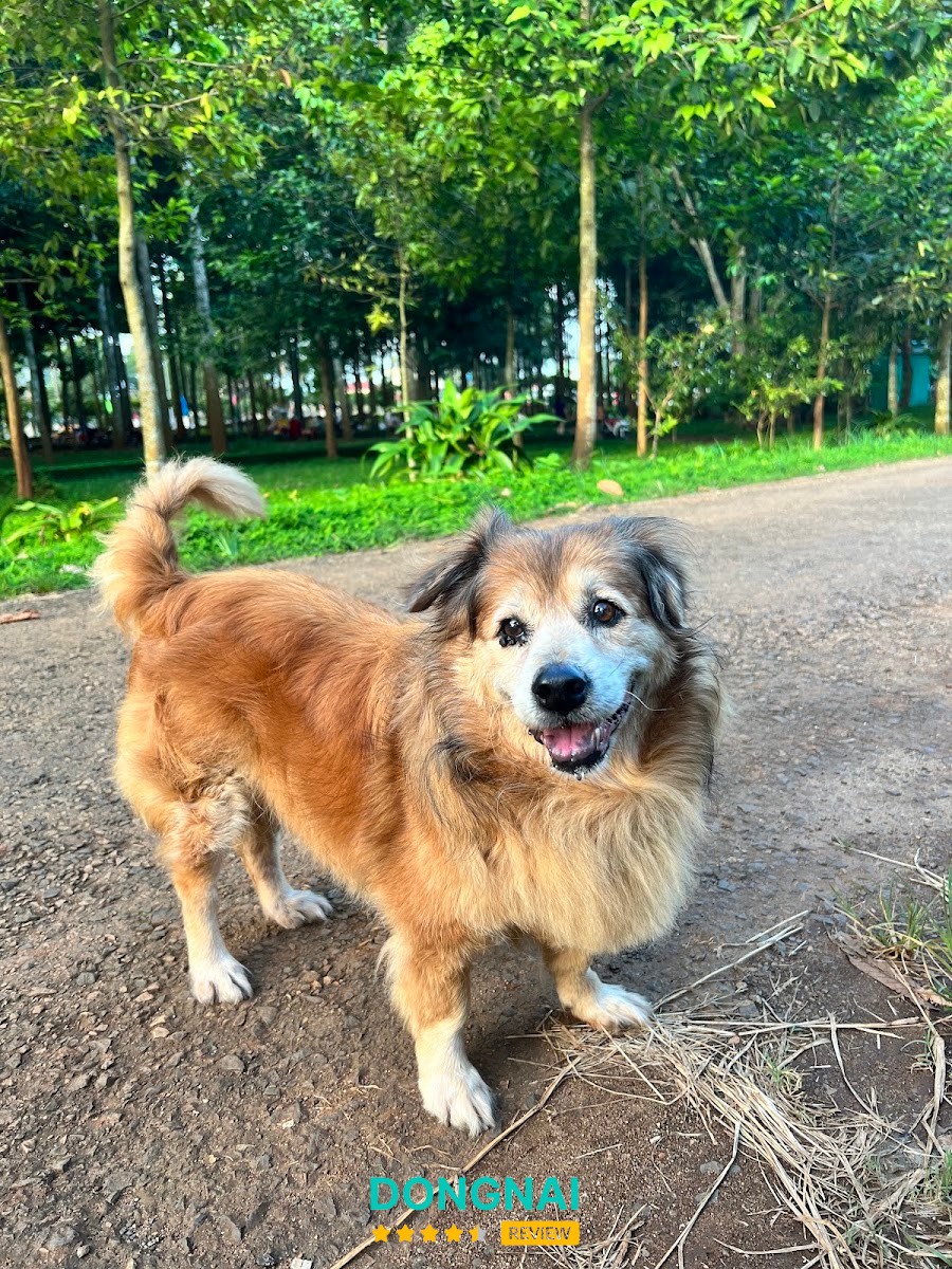 Pum Vet Long Khánh – hình ảnh 2