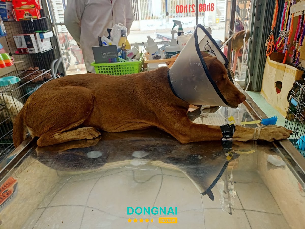 Pum Vet Long Khánh – hình ảnh 3