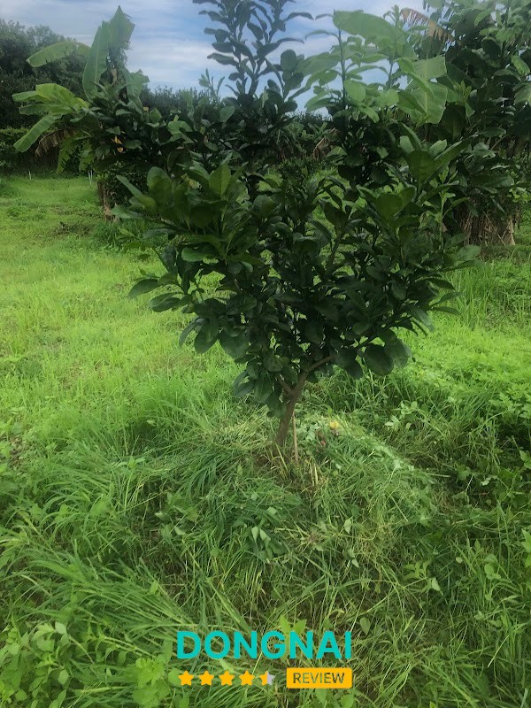 Nhà Hàng tiệc cưới Hữu Nghĩa – hình ảnh 2