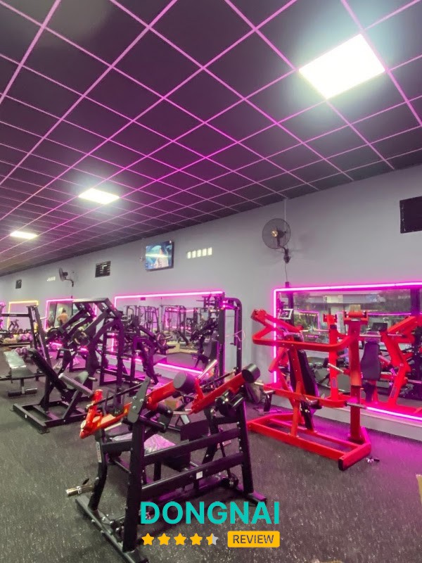 Hữu Đạt GYM - hình ảnh 2