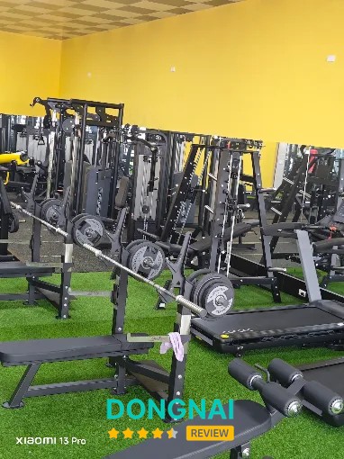 PHÒNG GYM HOÀNG IRON WILL GYM – hình ảnh 3