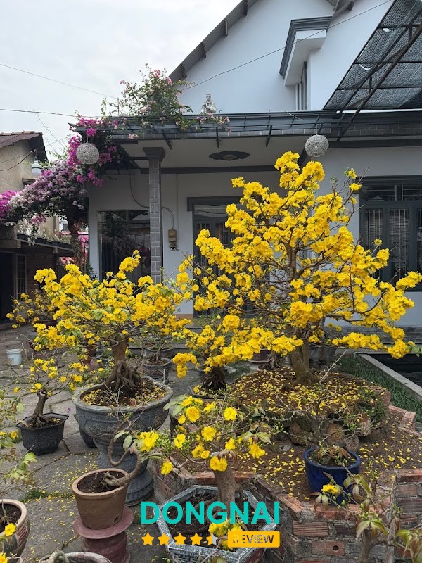 Phun môi HAI CÔ