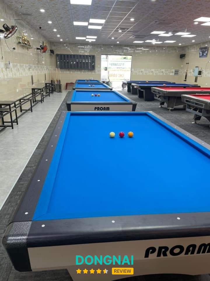 Billards Chí Long Dầu Giây