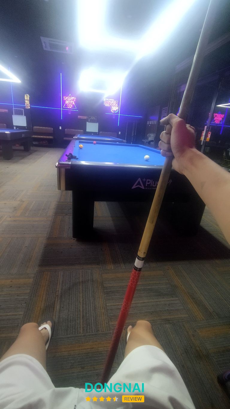 Rùa Billards – hình ảnh 2