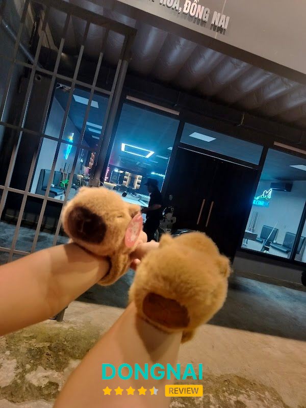 BEN Billiards - Bida BEN – hình ảnh 4