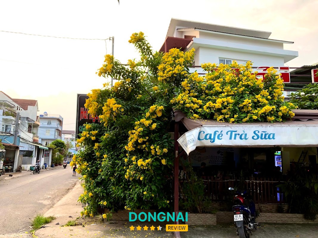 Hải Nguyên Coffee Long Bình