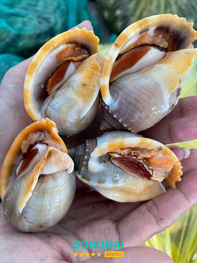 Không gian Lẩu và Nướng Nhà 3Tê