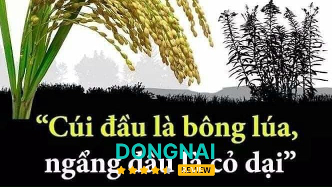 Hình ảnh Phở Việt Hà Nội