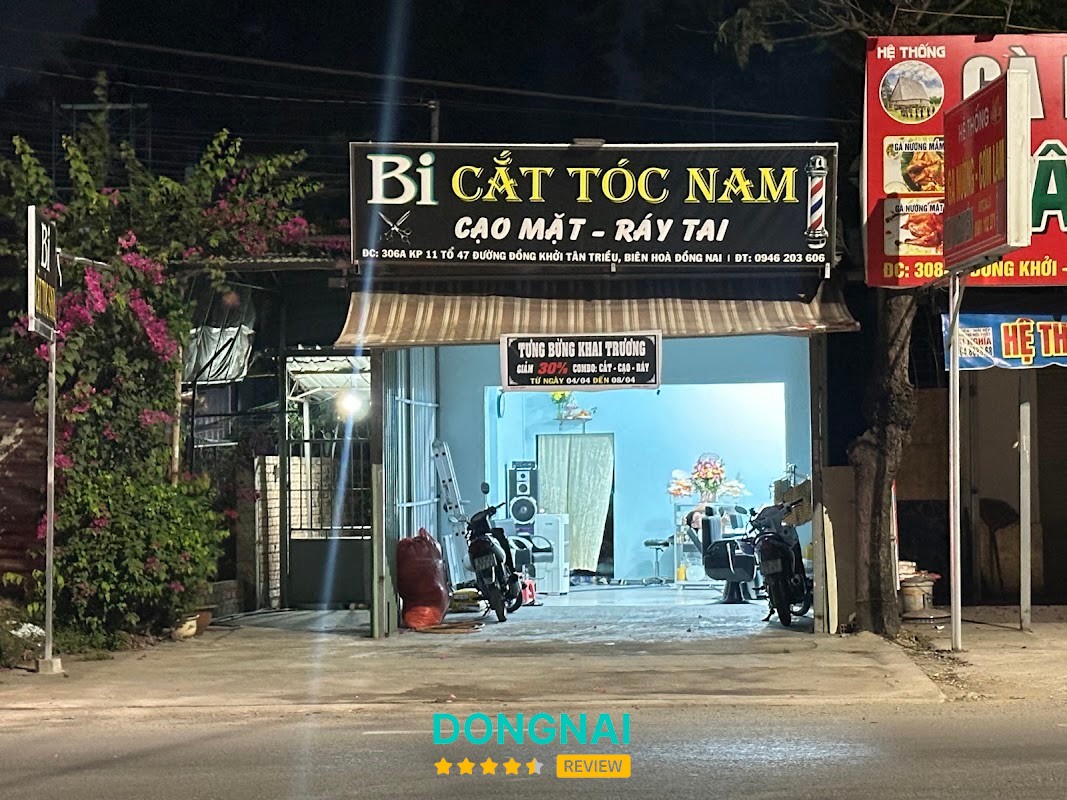 Bi Tóc Nam Tân Triều