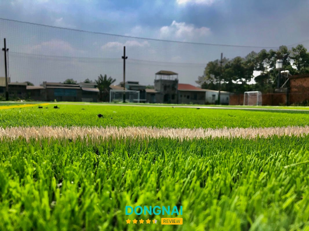 Sân cỏ nhân tạo Hưng Thịnh – hình ảnh 2