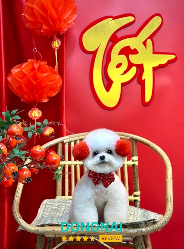Happy Pet Shop Biên Hoà – hình ảnh 2