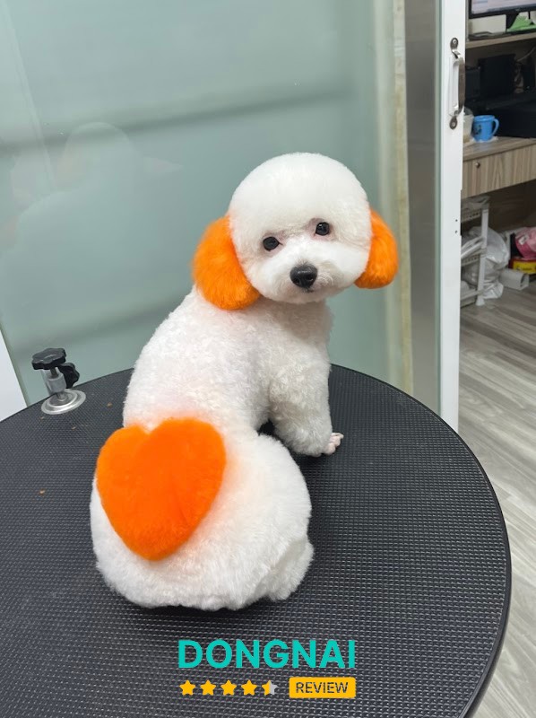 Happy Pet Shop Biên Hoà – hình ảnh 3