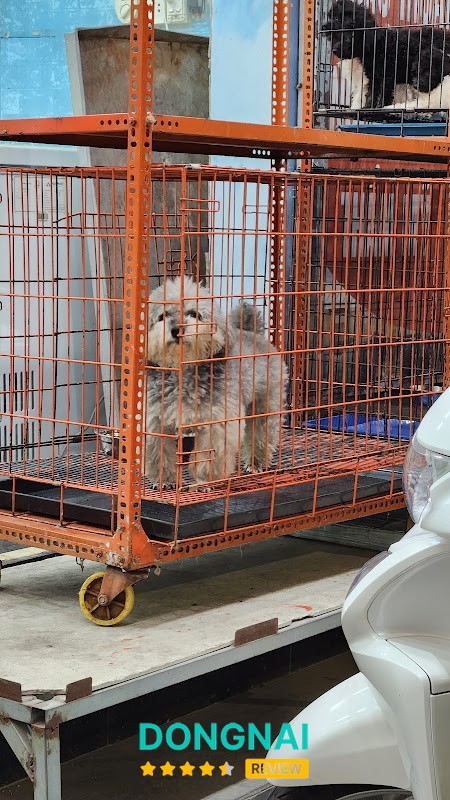 Golden Pet Shop Biên Hoà - hình ảnh 3