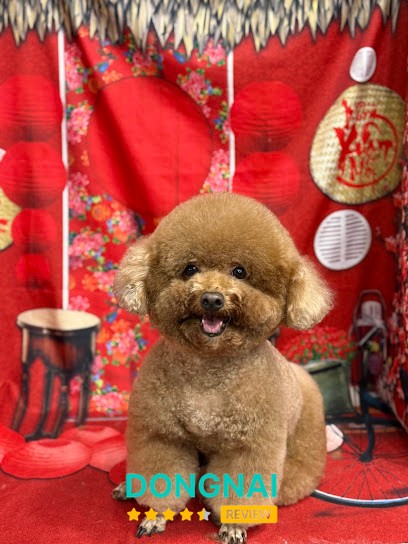 HOÀNG CHIẾN PET SHOP