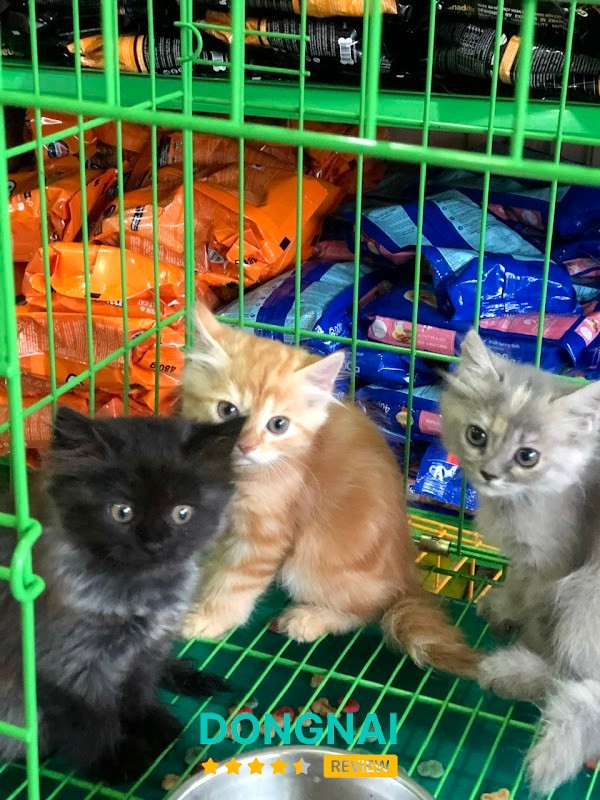 Tiệm Thú Cưng Anh Tài – hình ảnh 3