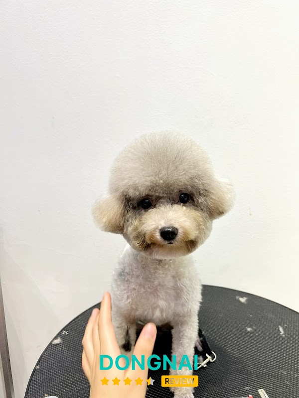 LANNA'S Pet Shop – hình ảnh 2