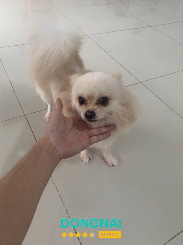 Phòng Khám Thú Y Happy Pet Nhơn Trạch – hình ảnh 3