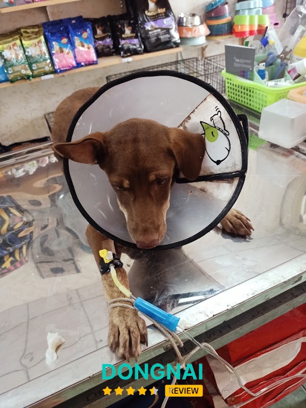 Phòng Khám Thú Y Long Khánh Pum Vet