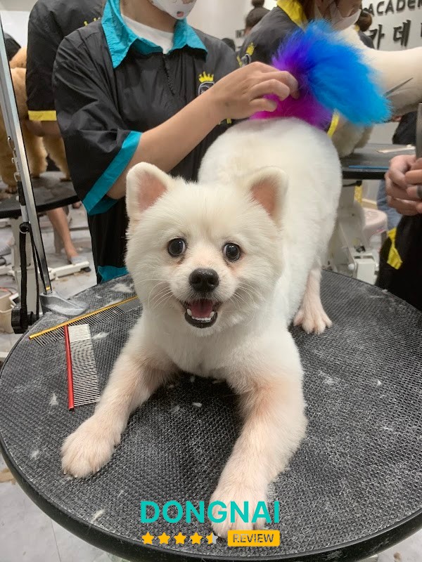 Waiwai Pet Beauty - hình ảnh 3