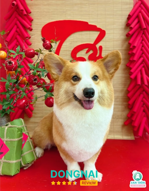 Sam Tròn Pet Spa - hình ảnh 2