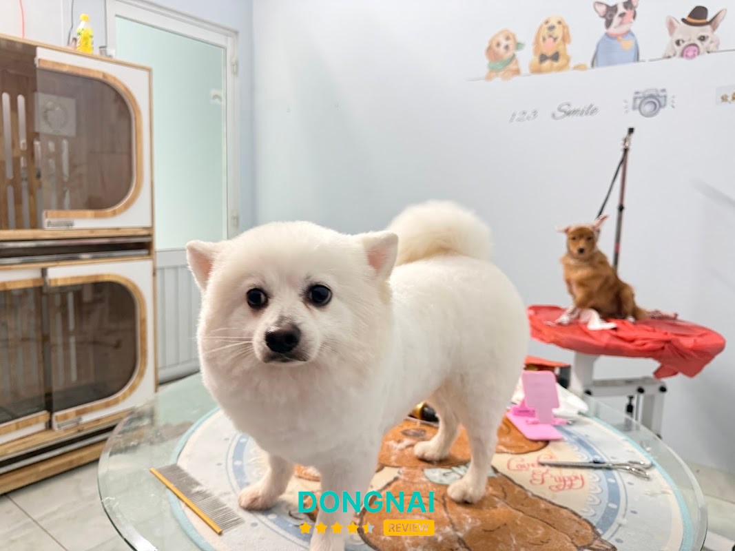 TyNi Dog House - Nhà Trẻ Trông Cún - Hotel - Spa Đồng Nai