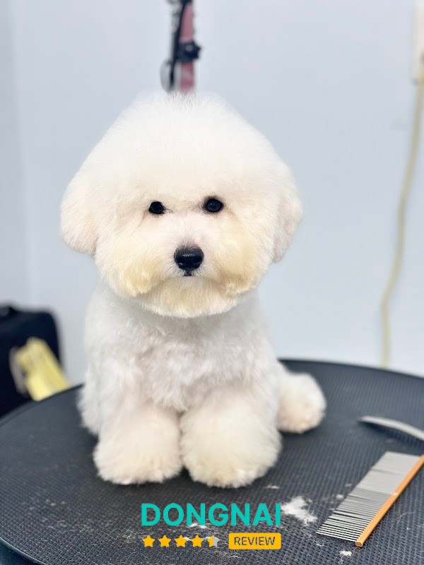 TyNi Dog House - Nhà Trẻ Trông Cún - Hotel - Spa – hình ảnh 2