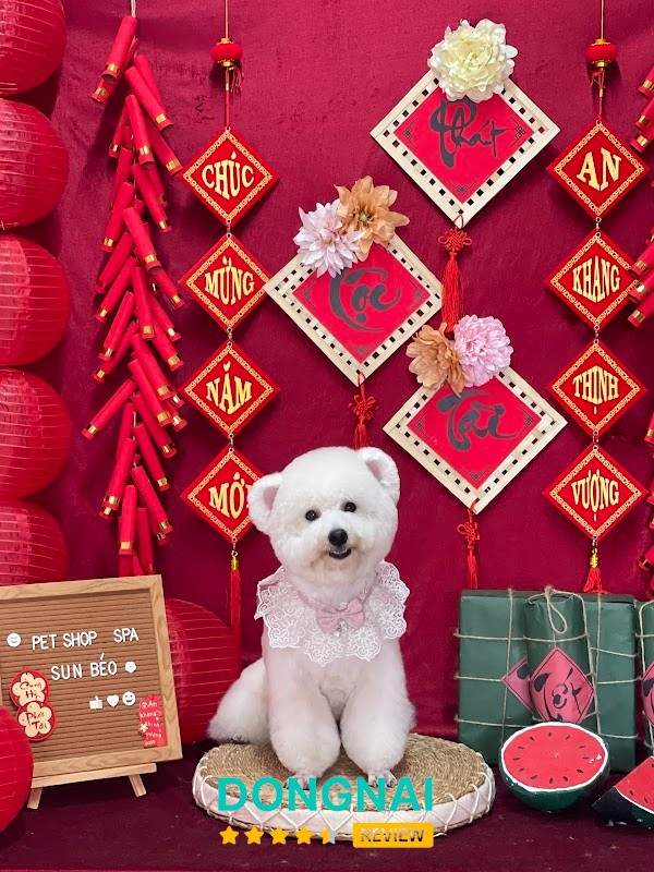 Sun Béo Pet Shop – hình ảnh 3